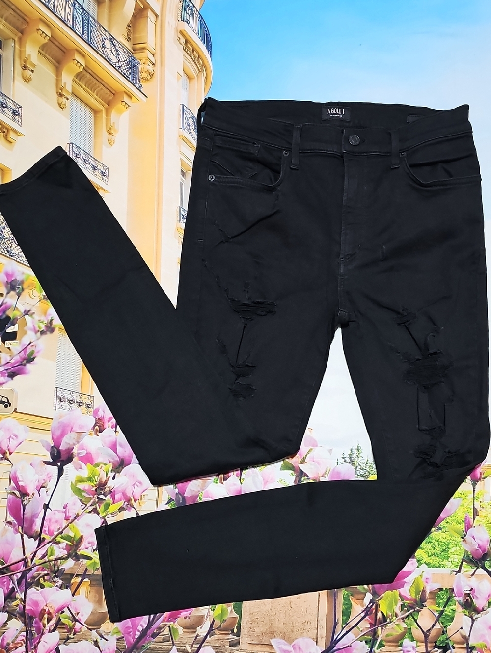 Agolde Los Angeles Black Distressed Skinny Jeans Size 31